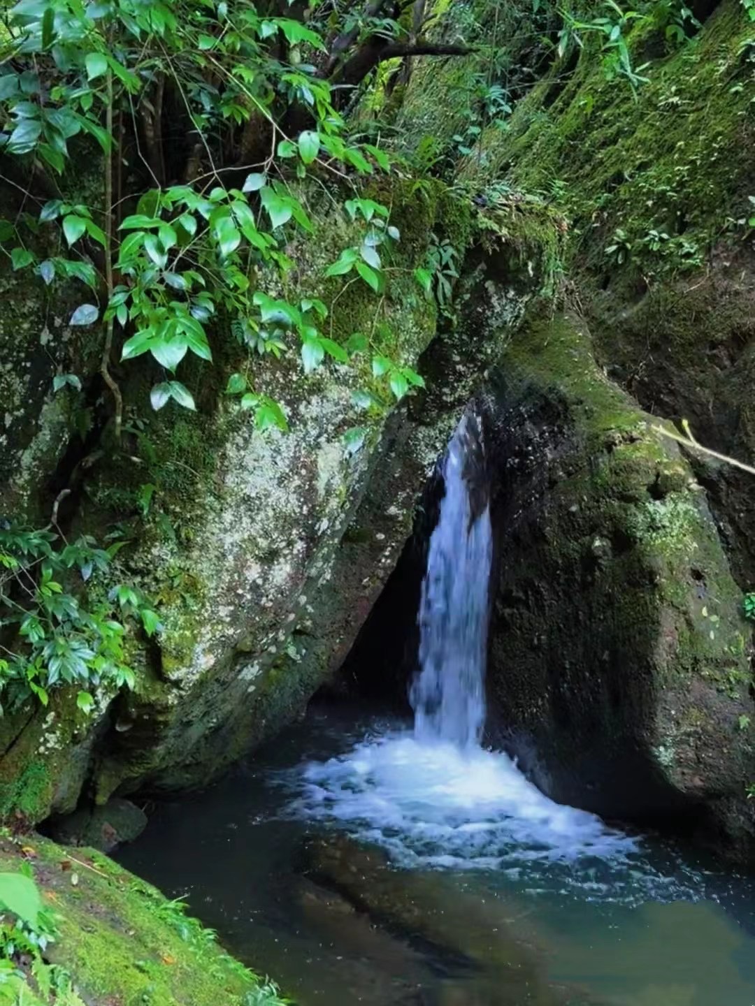 爱茶者朝圣地:武夷山岩骨花香漫游道