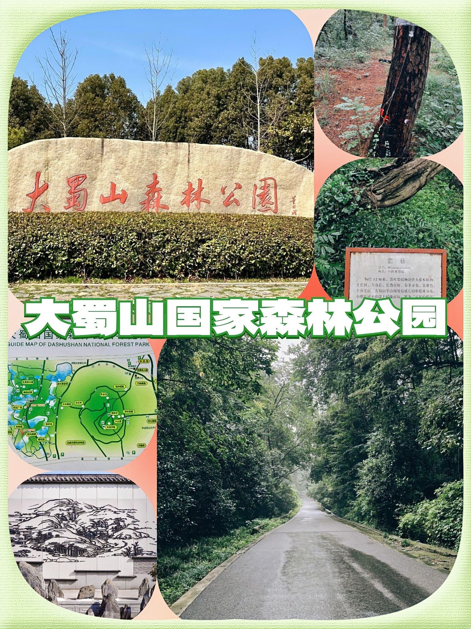 合肥大蜀山森林公园图片