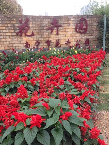 南宁花卉公园