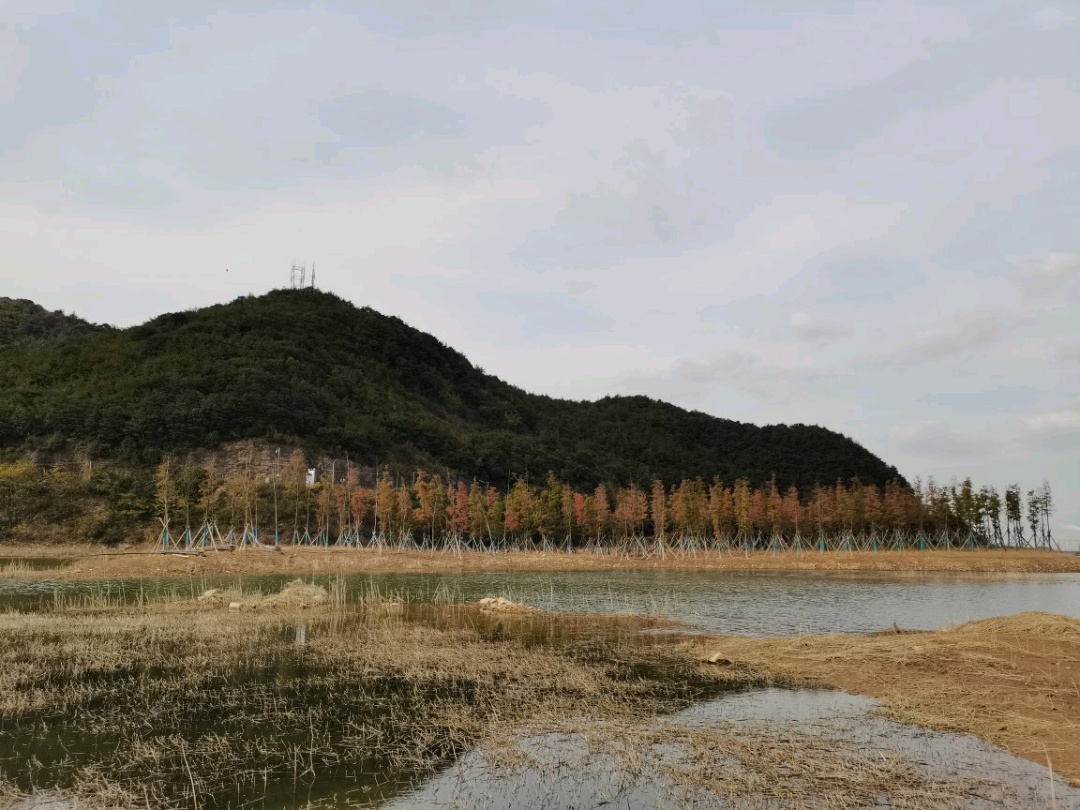 宁波娱乐-恩鲜草莓