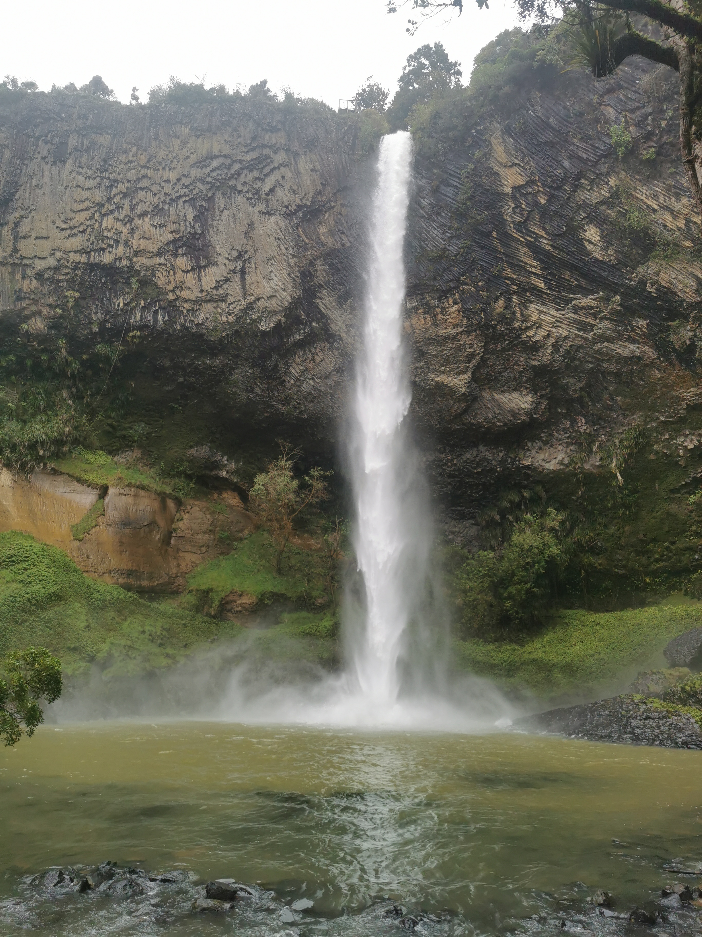 新西兰bridal veil falls:天然之美的璀璨绝伦