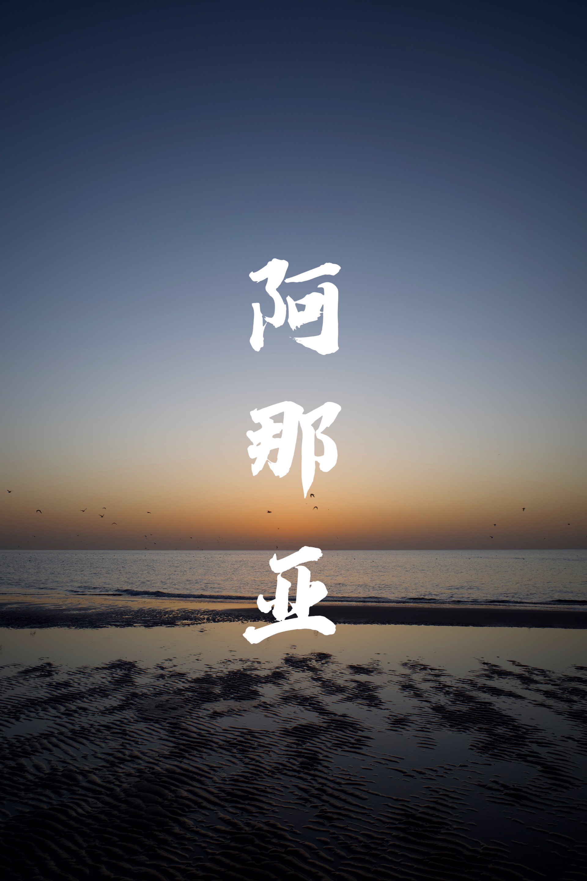 阿那亚|今日份松弛感橘子海