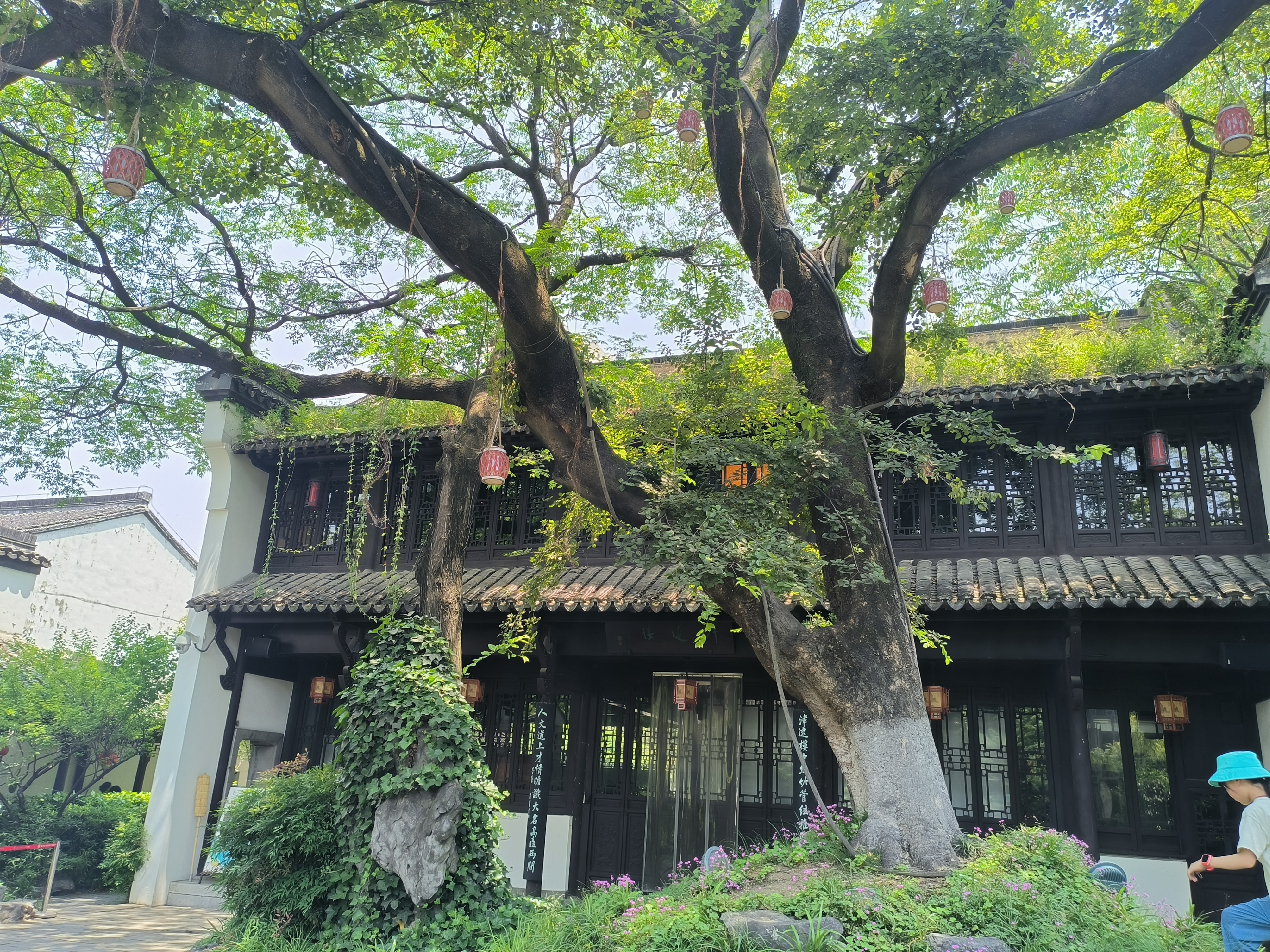 甘熙宅第(南京市民俗博物馆),白天看风景,夜晚观演出