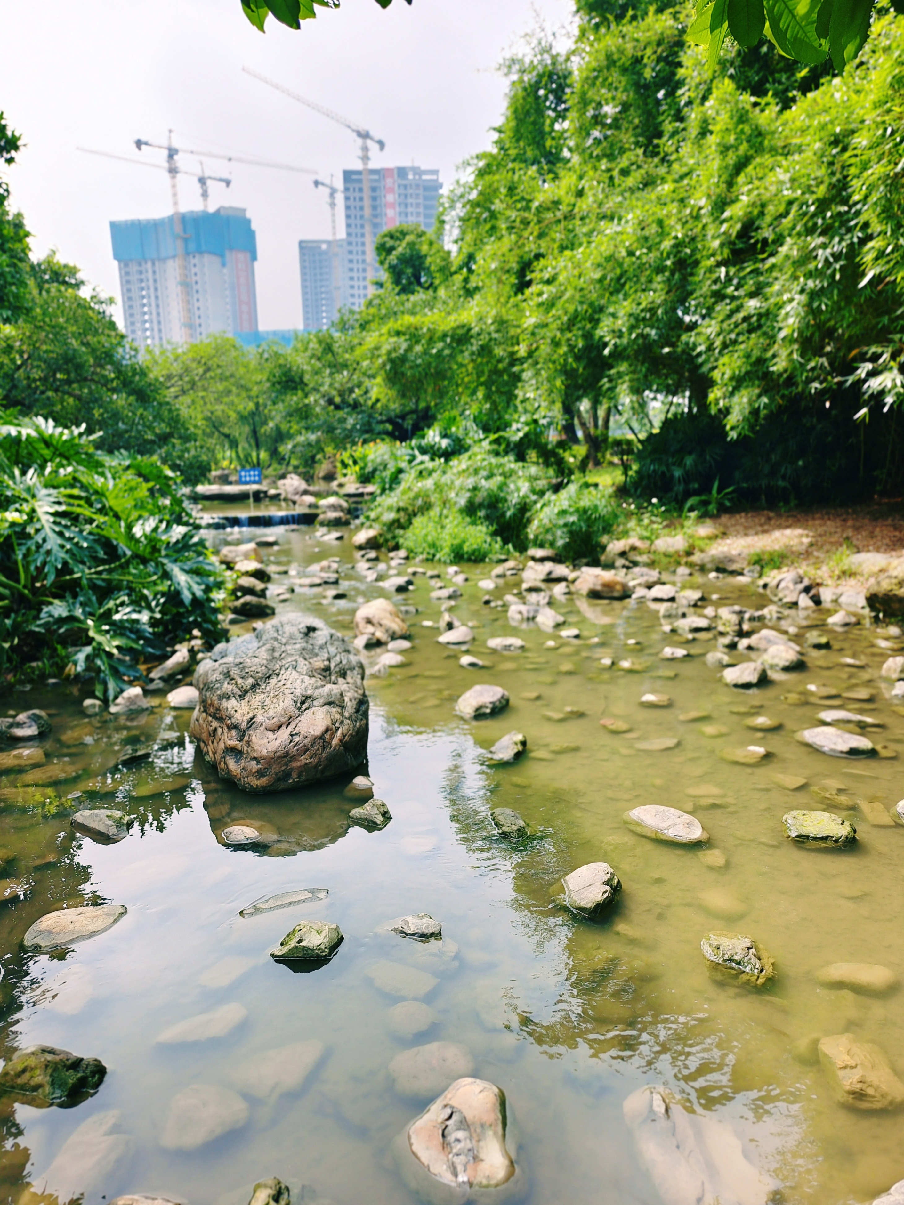 光天化日下的灯都生态湿地公园